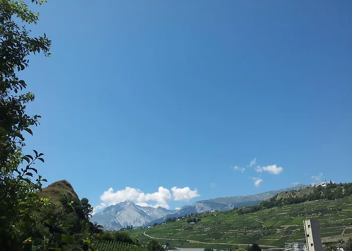 Maison d'hôtes Le Merle Châtelain