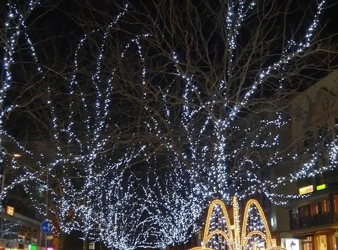 Le Merle Chatelain 시옹