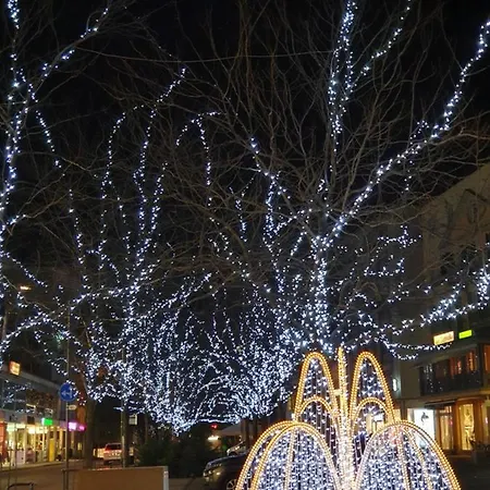 Le Merle Chatelain Sion